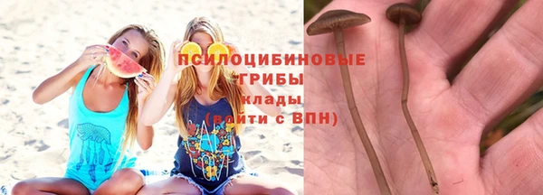 мескалин Алзамай