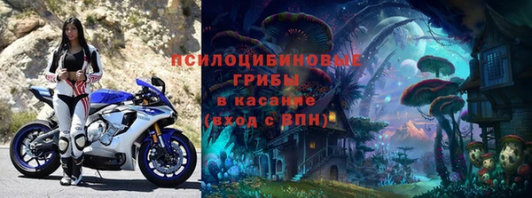стафф Алексин